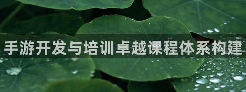 长运娱乐官网开奖历史：手游开发与培训卓越课程体系构建