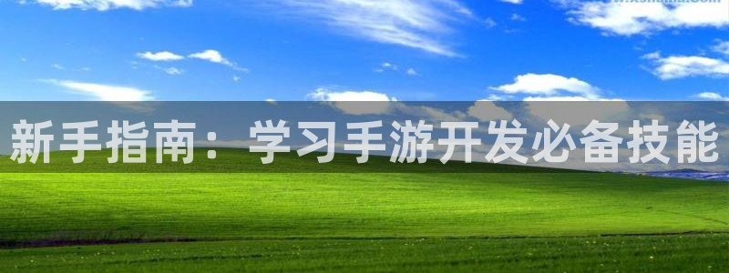 长运娱乐官网2018版：新手指南：学习手游开发必备技能