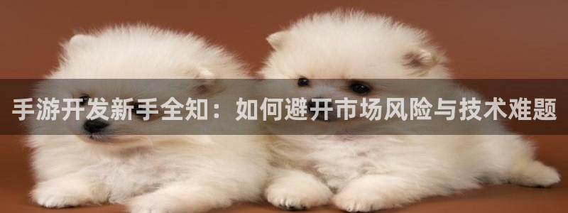 pc长运娱乐官网苹果下载：手游开发新手全知：如何避开市场风险