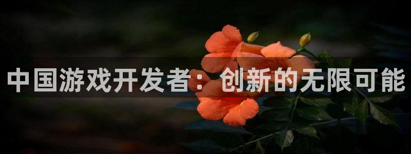 长运娱乐官网评测：中国游戏开发者：创新的无限可能