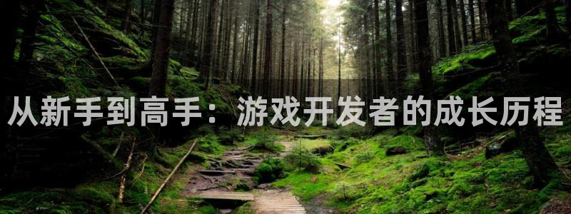 长运娱乐官网下载：从新手到高手：游戏开发者的成长历程