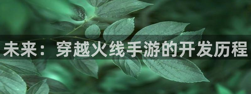 pc长运娱乐官网预测吧：未来：穿越火线手游的开发历程