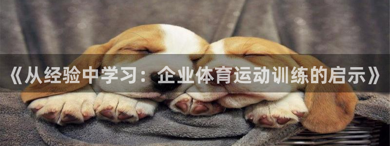 k1体育网址：《从经验中学习：企业体育运动训练的启示》