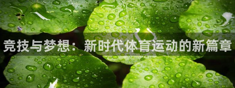 k1体育平台3915：竞技与梦想：新时代体育运动的新篇章
