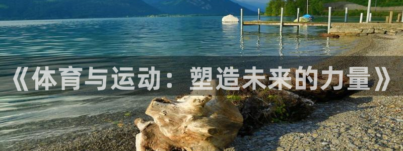 k1体育棋牌