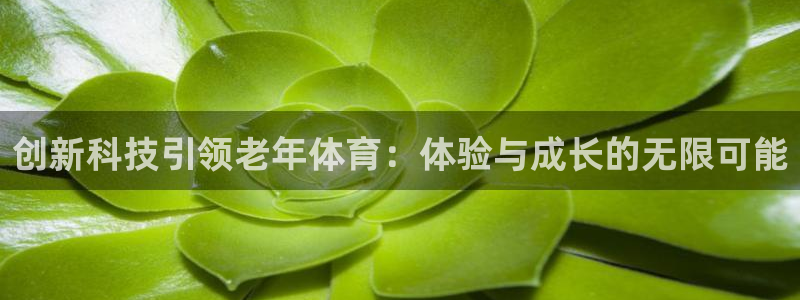 k1体育下载地址：创新科技引领老年体育：体验与成长的无限可能
