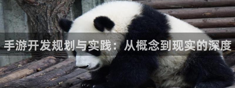 长运娱乐官网统计网：手游开发规划与实践：从概念到现实的深度